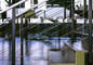 Best Piles Treatment Hospital in Kannur